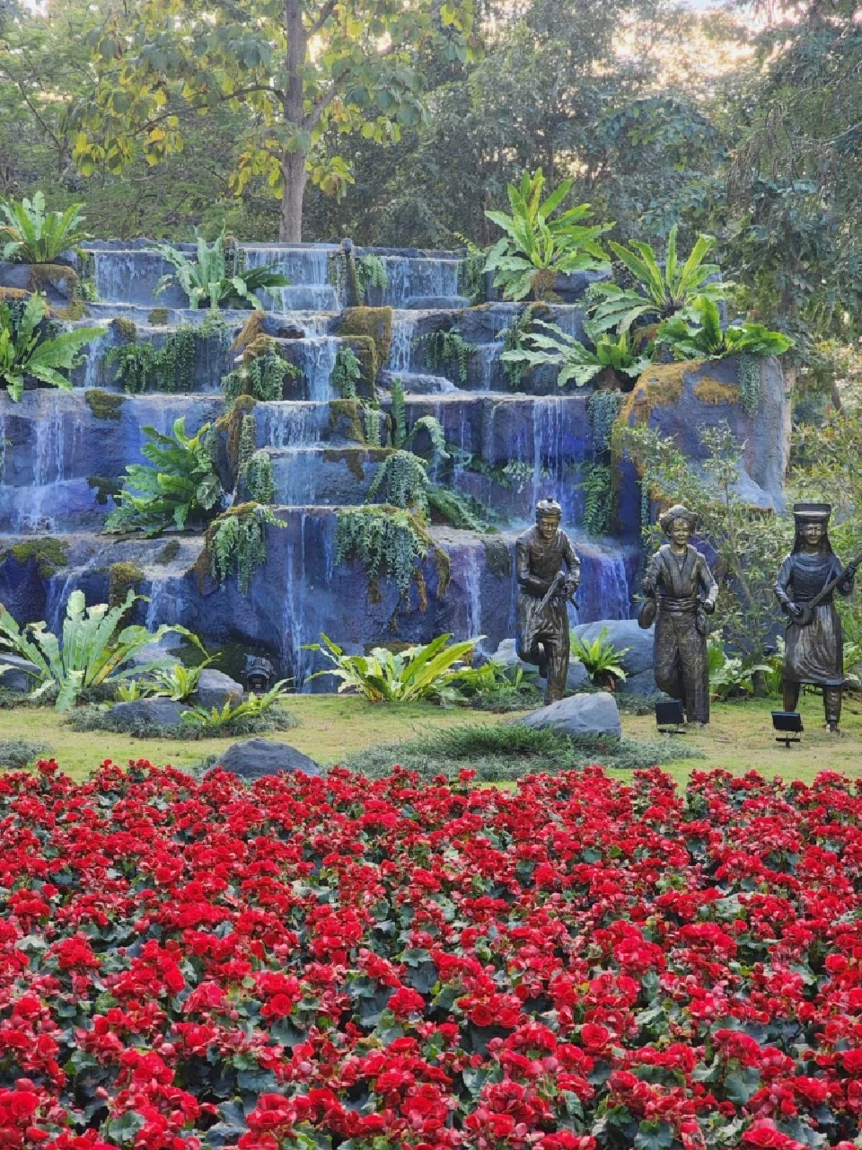 บานสะพรั่ง'เชียงรายดอกไม้งาม' ละลานตาทุ่งดอกไม้ เที่ยวเชียงราย ชิลล์ๆรับลมหนาว