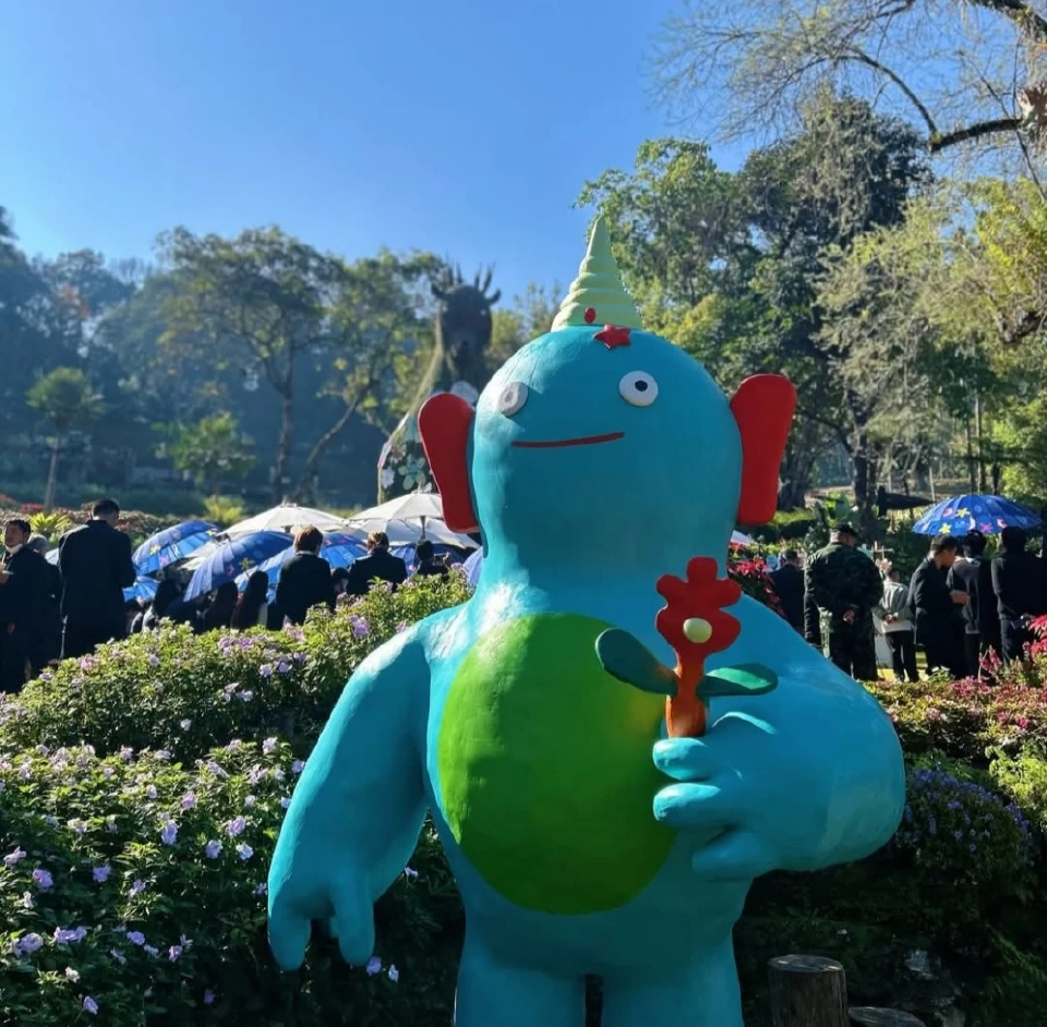 บานสะพรั่ง'เชียงรายดอกไม้งาม' ละลานตาทุ่งดอกไม้ เที่ยวเชียงราย ชิลล์ๆรับลมหนาว