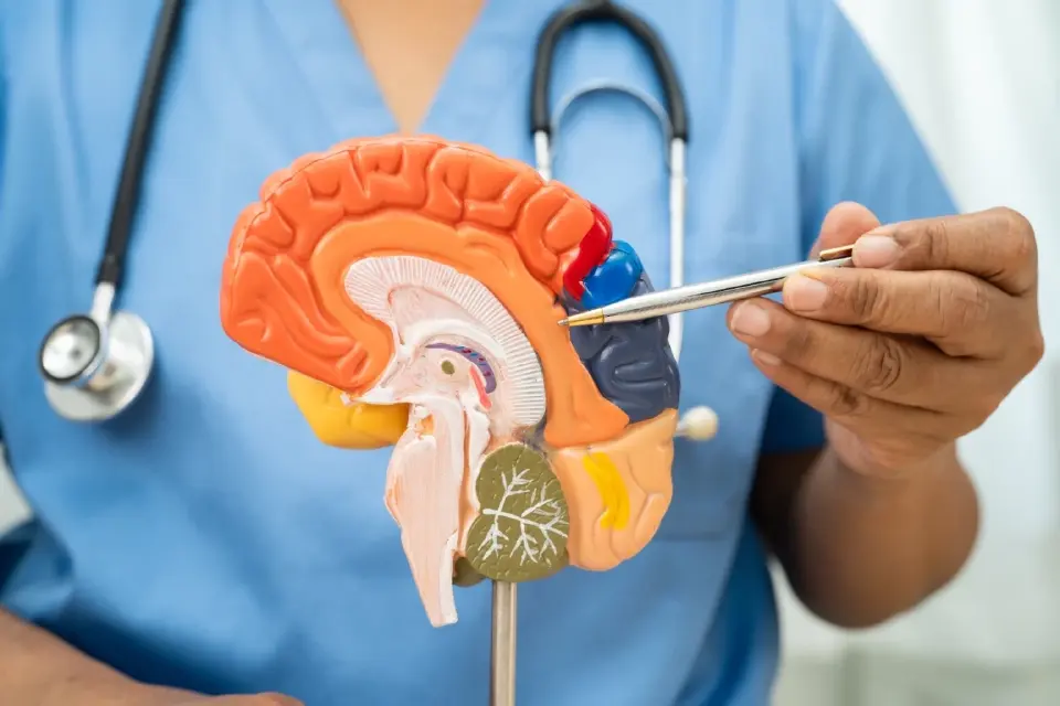 อันตราย! หายใจรับ PM2.5 เสี่ยงอัลไซเมอร์-พาร์กินสันตั้งแต่อายุ 40