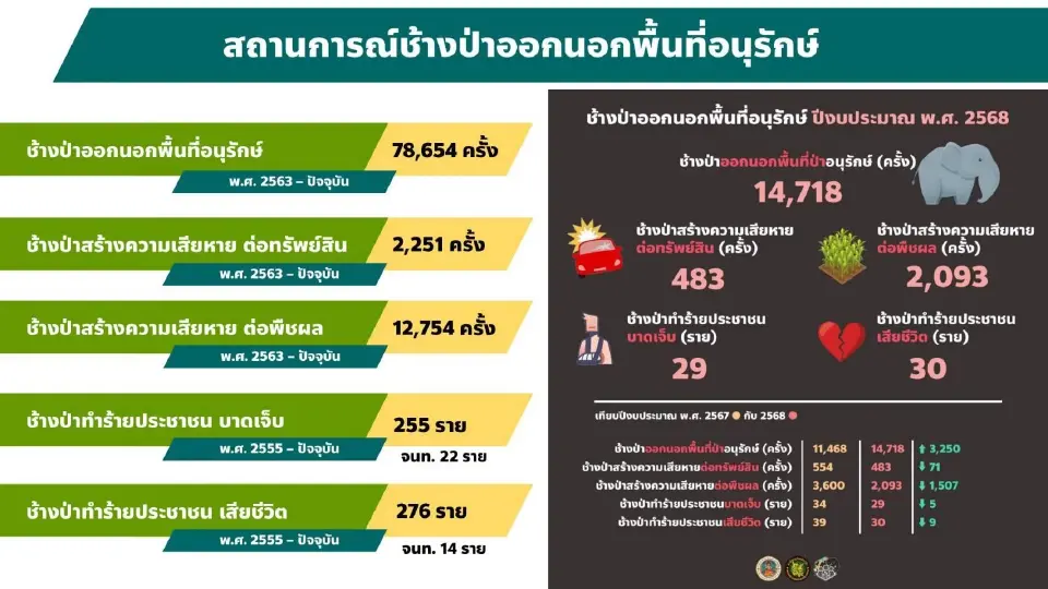 สถานการณ์ช้างป่า