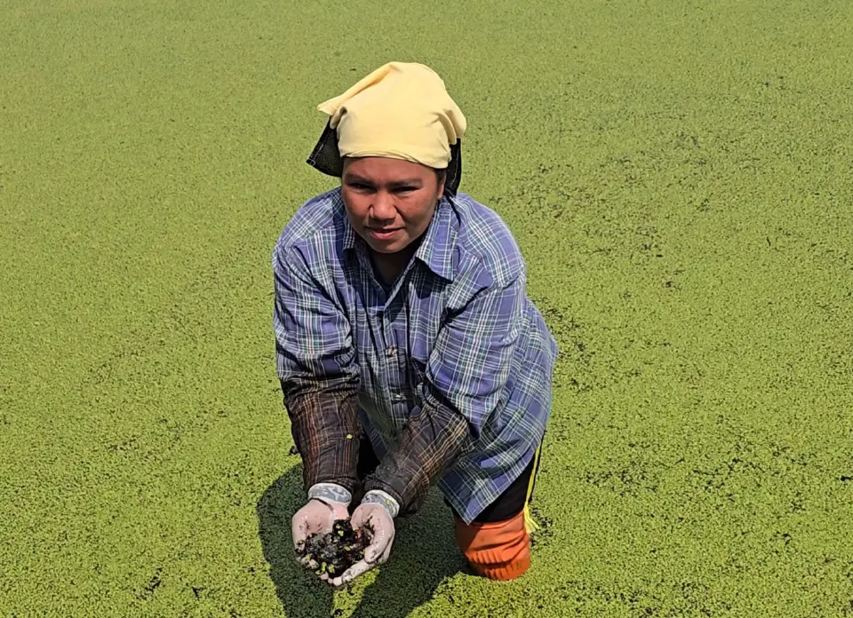 กรมทรัพยฯ ลุยปั้น GI “แห้วสุพรรณ” ดันมูลค่าเพิ่ม-เร่งขยายตลาด