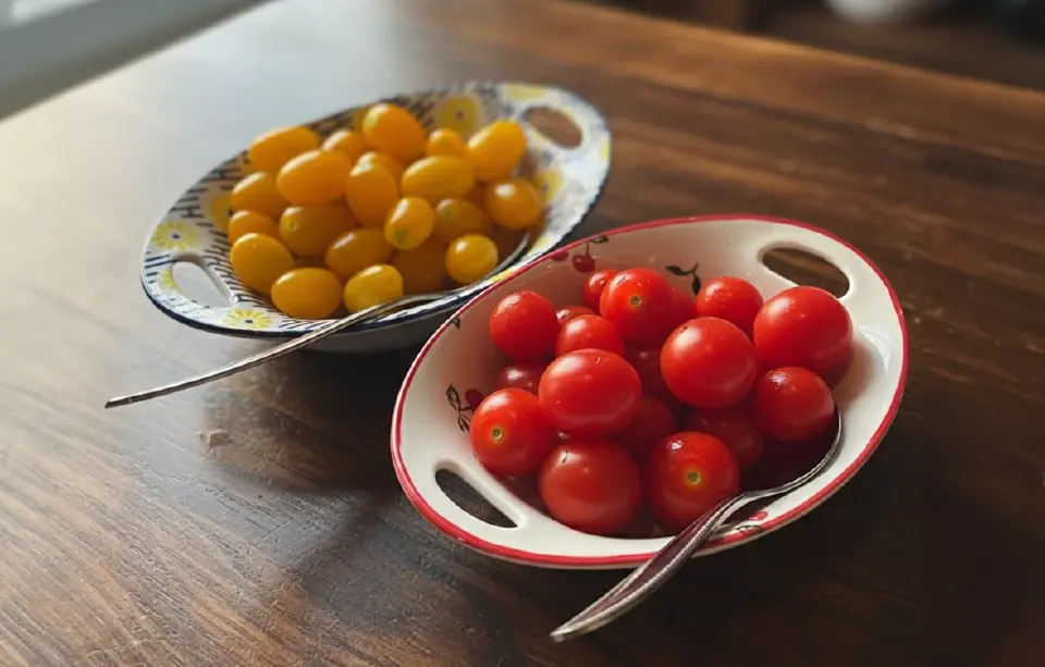 ต้นตาล พิษณุโลก