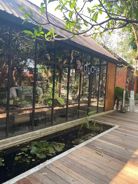 ต้นตาล พิษณุโลก