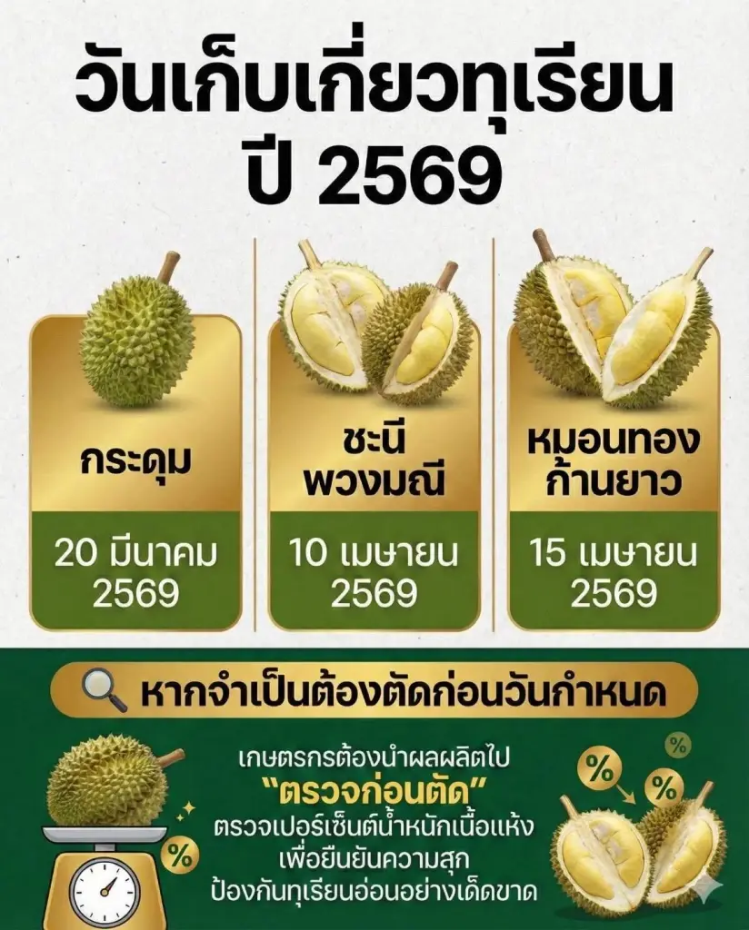 อธิบดีกรมวิชาการเกษตร ลุย “4 ไม่” สกัดทุเรียนอ่อน–สารต้องห้าม รับฤดูส่งออก 2569