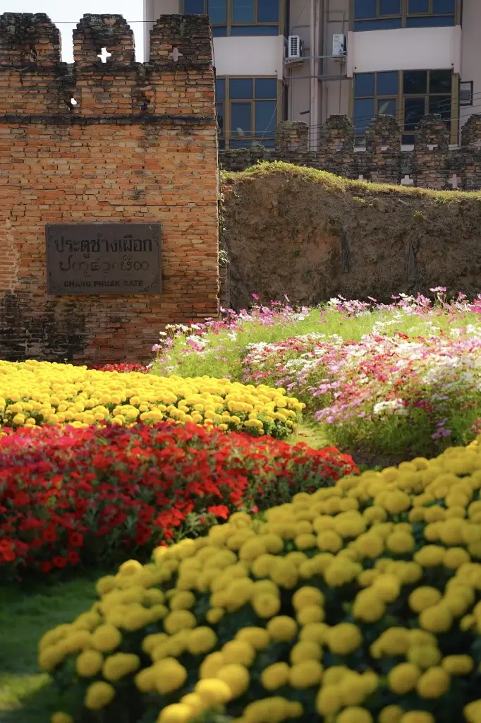 ปักหมุดเที่ยววาเลนไทน์ "งานมหกรรมไม้ดอกไม้ประดับจังหวัดเชียงใหม่"ประจำปี 2569 เริ่มวันที่ 13-15 ก.พ.นี้