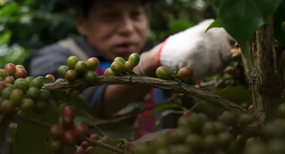 เที่ยวอย่างโปร! Marriott เปิด 100 ประสบการณ์ลับ ฟื้นฟูใจและโลกทั่วเอเชีย