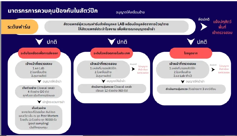 ดีเดย์ 1 มี.ค.–31 พ.ค.69  คุมเข้มฟาร์มไก่เนื้อ ฝ่าฝืนเพิกถอน-พักเลี้ยง 3 เดือน