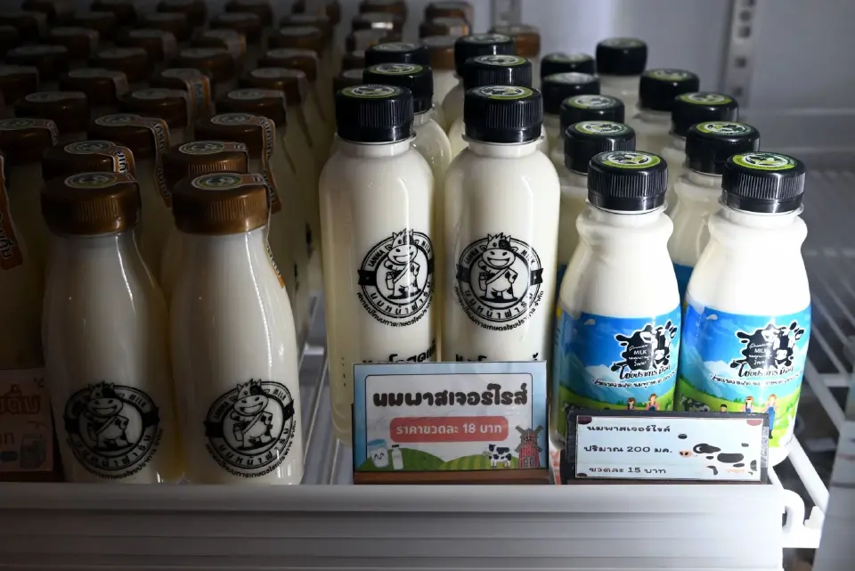 'ดัชมิลล์' เขย่าตลาดนม 6 พันล้าน ลุยเปิดตัว 3 โปรดักต์ใหม่