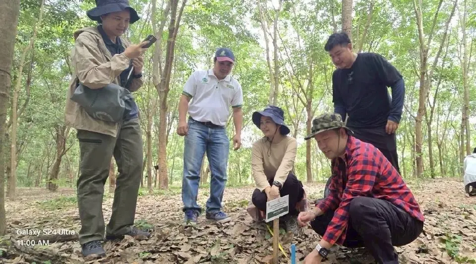 CPCRT เดินหน้าคาร์บอนเครดิต T-VER ดันสวนยางลดก๊าซเรือนกระจกกว่า 1 แสนตัน