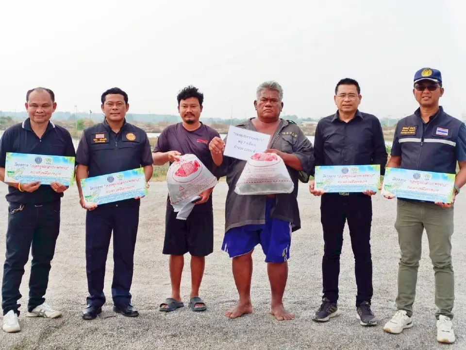 เกษตรกรตอบรับ“กองทุนปลากะพงขาว”ประมงสมุทรสงคราม เดินหน้าปีที่ 2
