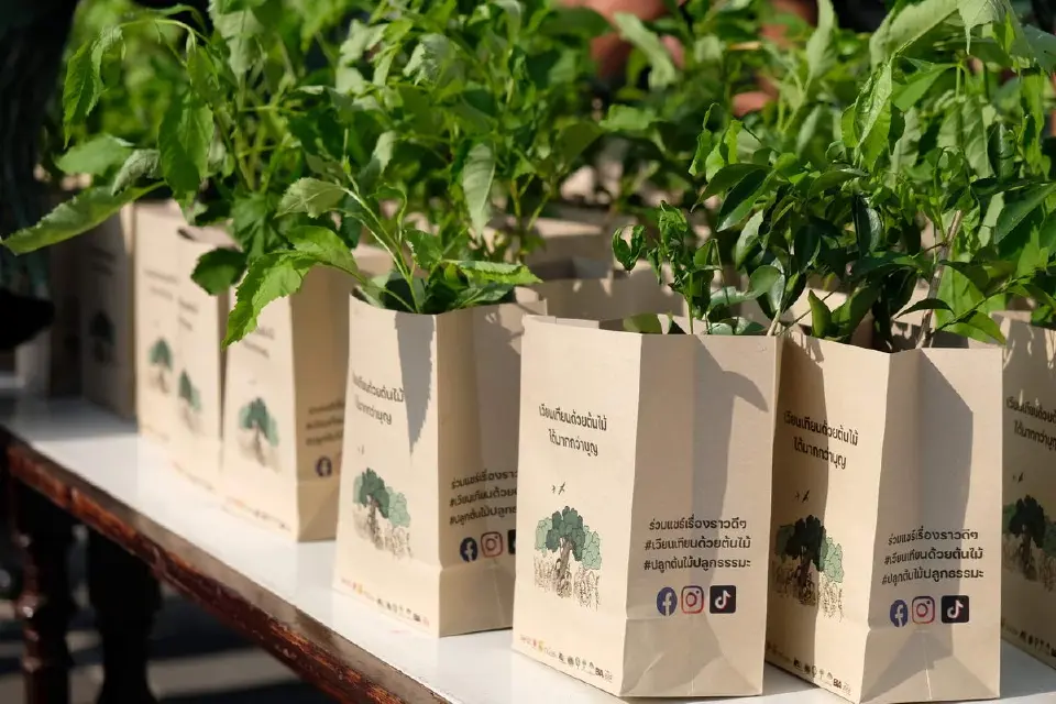 วันมาฆบูชา 3 มีนาคม 2569 ชวนพุทธศาสนิกชน เวียนเทียนด้วยต้นไม้ เช็กรายชื่อวัดทั่วไทย-กรุงเทพฯ