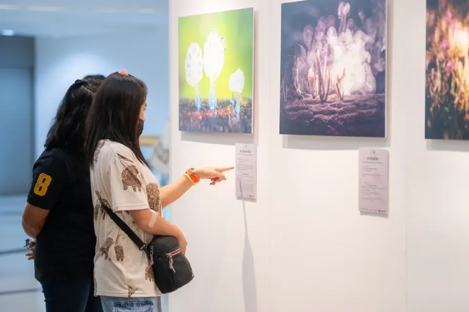 กระทรวงทรัพย์ฯ-ซีพี มอบรางวัล “สัตว์มีค่า ป่ามีคุณ” ปีที่ 31 ปลุกพลังอนุรักษ์