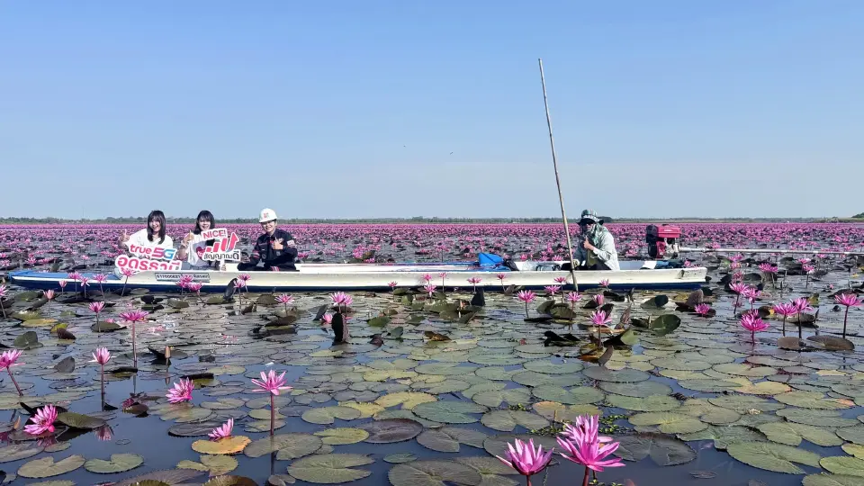 ทรูเสริม 5G ทะเลบัวแดง รับกระแสตามรอยลิซ่า