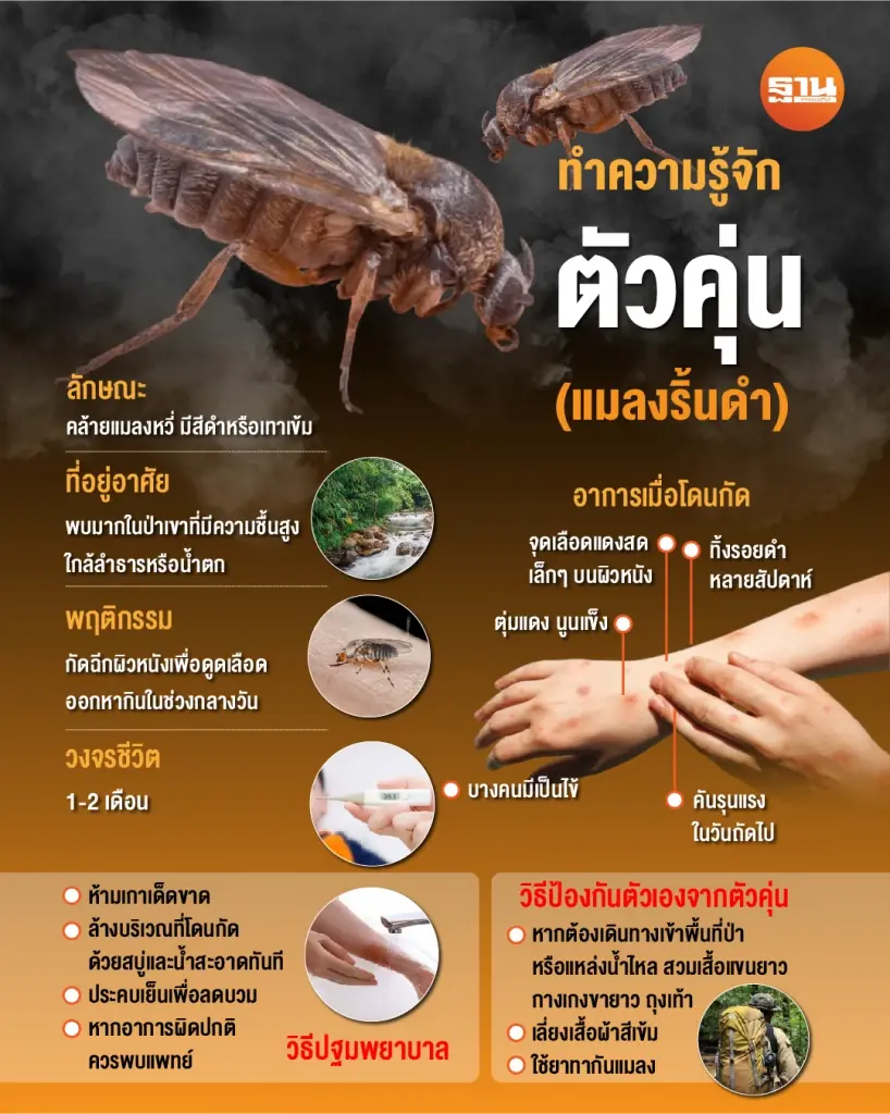 ทำความรู้จัก ตัวคุ่น หรือริ้นดำ (Black flies) 
