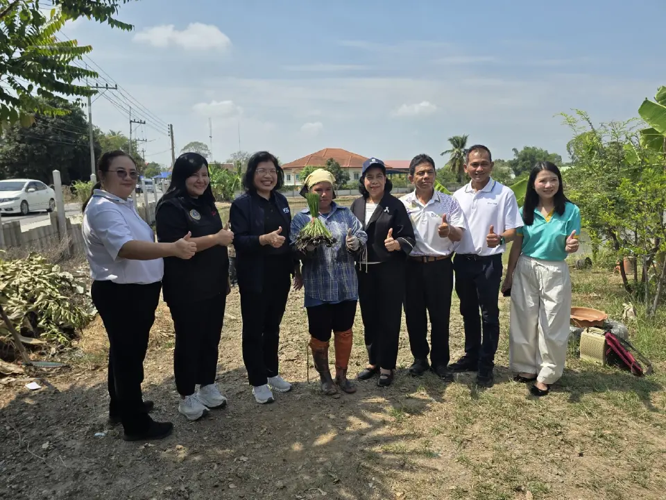 กรมทรัพยฯ ลุยปั้น GI “แห้วสุพรรณ” ดันมูลค่าเพิ่ม-เร่งขยายตลาด