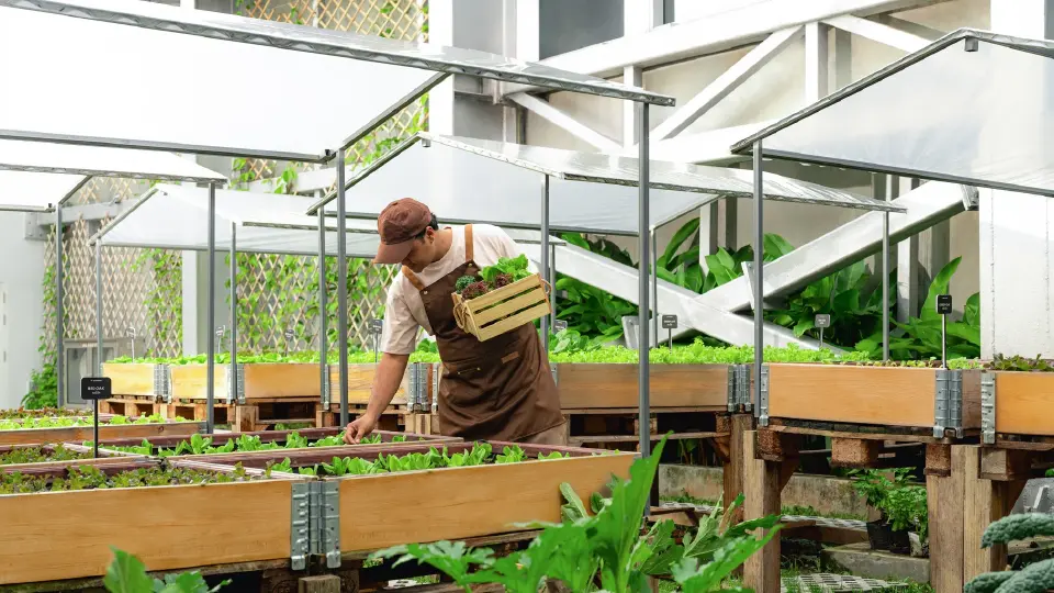 เที่ยวอย่างโปร! Marriott เปิด 100 ประสบการณ์ลับ ฟื้นฟูใจและโลกทั่วเอเชีย