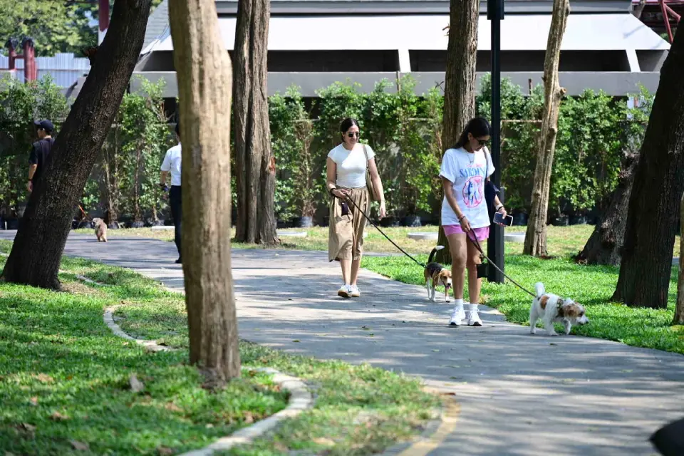 คนรักน้องหมา เฮ เปิดแล้ว 'สวน Lumpini Dog Park' แห่งที่ 9 ใจกลางกทม.