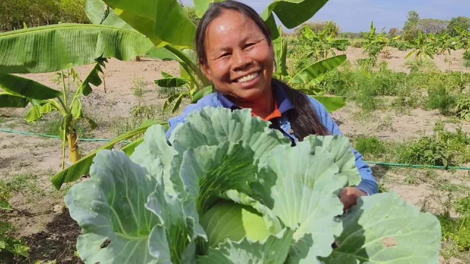 เกษตรอินทรีย์พุ่งเกินเป้า พื้นที่ทะลุ 2.2 ล้านไร่ สศก. เร่งเครื่องแผนใหม่ 2571–2575