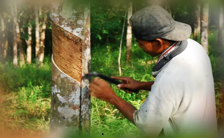 ซีอีโอใหม่ IRCo เร่งเพิ่มทุน ดันสู่เทรดเดอร์ คุมราคายางโลก