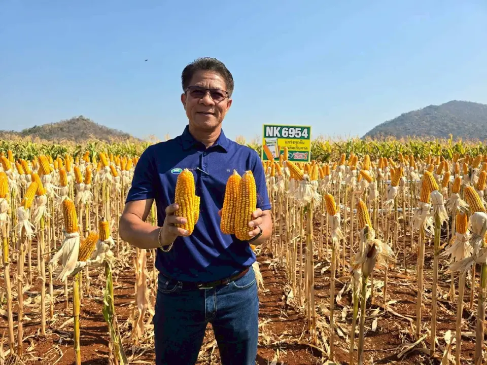 สามิต บุรีแก้ว กรรมการผู้จัดการ บริษัท ซินเจนทา ซีดส์ ประเทศไทย 