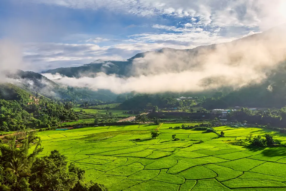 "ทุ่งนาสะปัน" จังหวัดน่าน