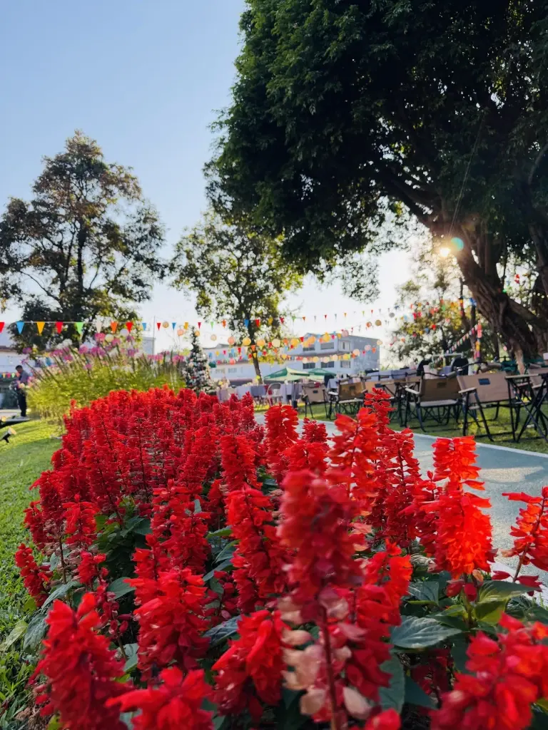 เที่ยวเชียงราย สัมผัสเสน่ห์ล้านนาร่วมสมัย 'เฮอริเทจ เชียงราย' พักฟินๆ ใจกลางเมือง