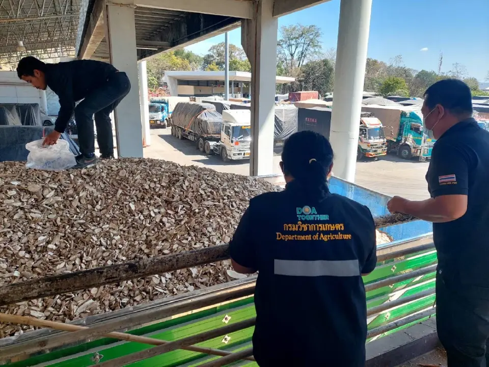 อธิบดีกรมวิชาการเกษตร สั่งด่านคุมเข้มนำเข้า หอม-ทุเรียน-มันสำปะหลัง