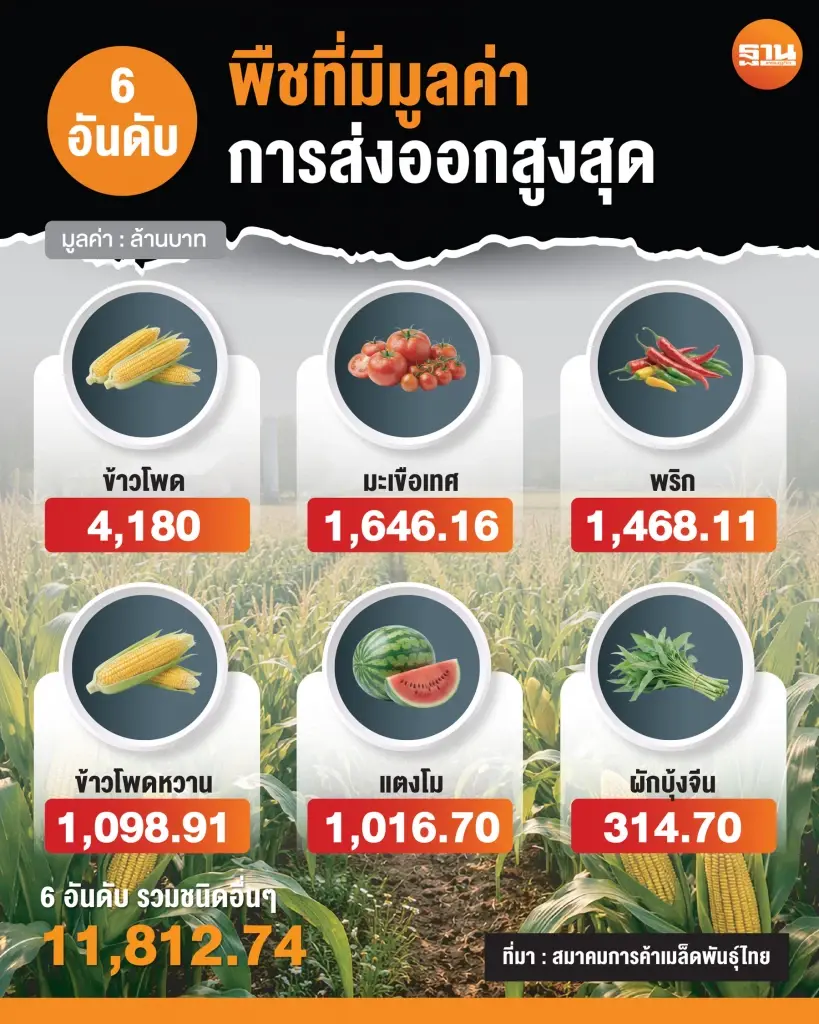 เมล็ดพันธุ์ไทย 2.4 หมื่นล้าน ดันจีโนมลดเวลาพัฒนาพันธุ์ รักษาอันดับ 8 โลก