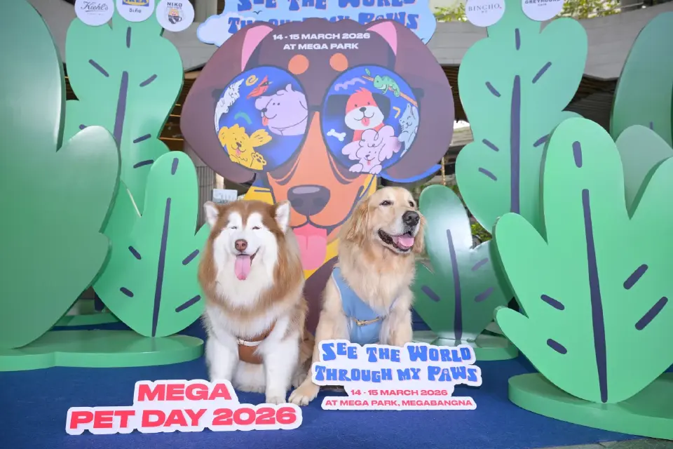 ศึกชิงตลาด Pet Parent เมกาบางนาจัด 'MEGA PET DAY 2026' เอาใจทาสหมา-แมว