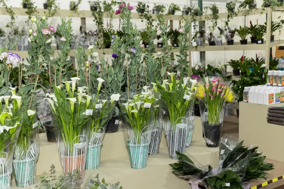 ยกดอยมาไว้ที่พารากอน! ชิมปลาเทราท์-คาเวียร์สด ในงาน Royal Project 2026