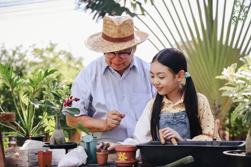 เมื่อพ่อแม่กลายเป็นผู้สูงอายุ... ความสัมพันธ์ที่ต้องเรียนรู้ใหม่ทั้งสองฝ่าย