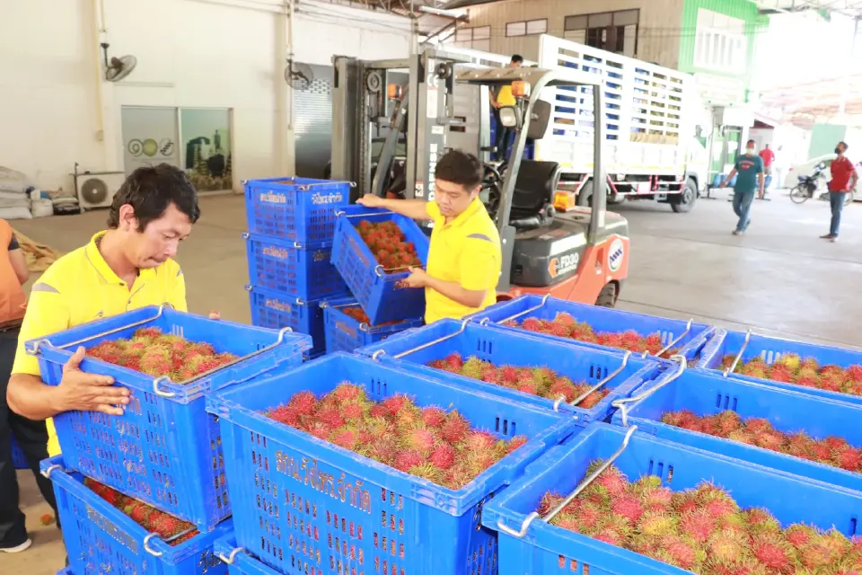 น้ำมันแพงสะเทือน! “สหกรณ์”ทั่วประเทศ ลุยดันแผนติดตั้งโซลาร์ ลดค่าใช้จ่ายสู้วิกฤต