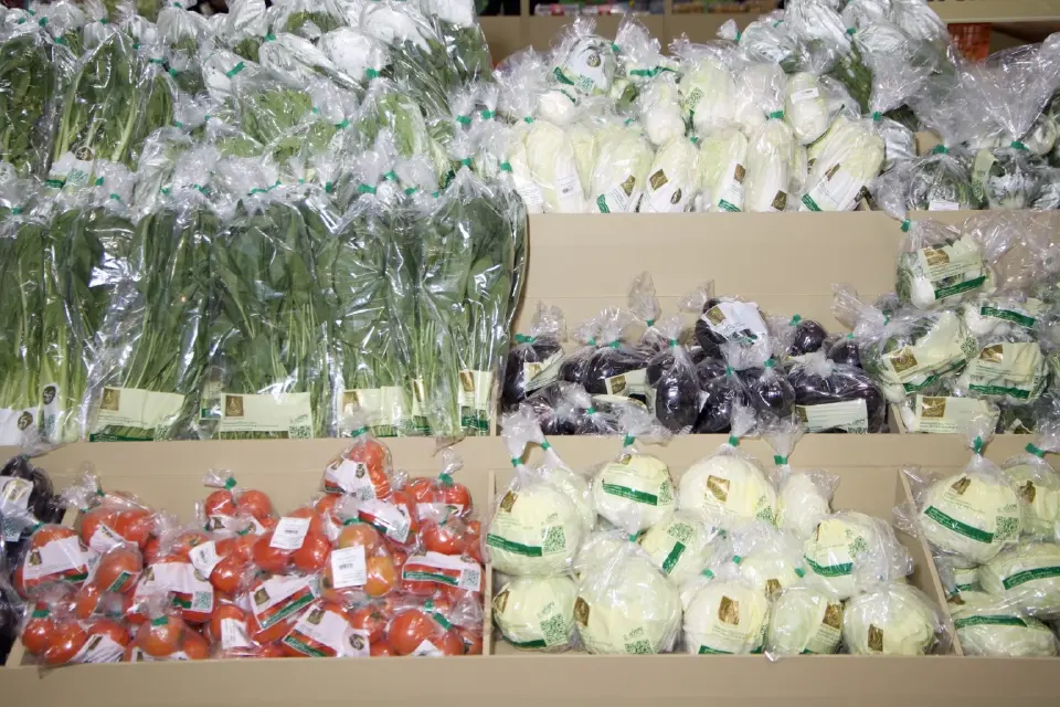 ยกดอยมาไว้ที่พารากอน! ชิมปลาเทราท์-คาเวียร์สด ในงาน Royal Project 2026