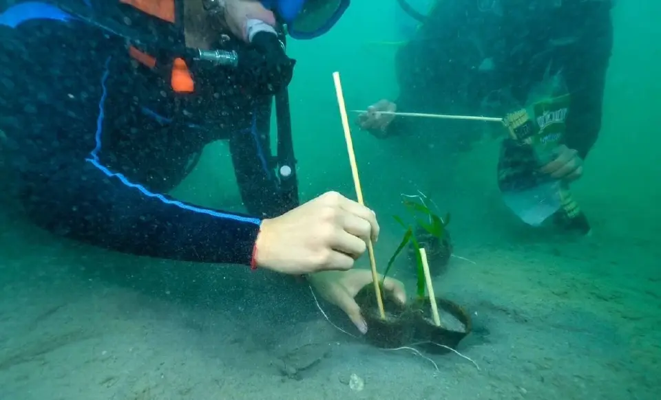 'แคลร์ - ณริดา จรณะจิตต์' เด็กไทยรักษ์โลก-คืนลมหายทะเล ดังไกลถึงเวที UN