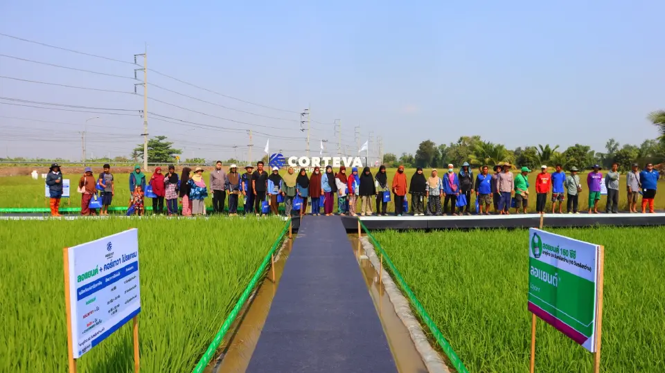 คอร์เทวาเปิดตัว “ลอแยนต์” สู้วัชพืชดื้อยาในนาข้าว ชูเทคโนโลยีใหม่ลดต้นทุน–ยกระดับผลผลิต