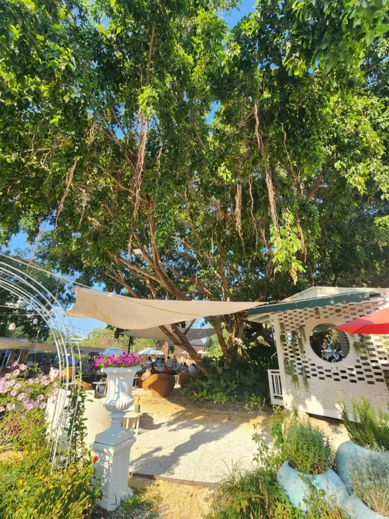 เช็คอิน สวนสนลอย คาเฟ่สีเขียวริมทะเล แลนด์มาร์คใหม่ ชะอำ หัวหิน เซ็นทารา ไลฟ์ ชะอำ