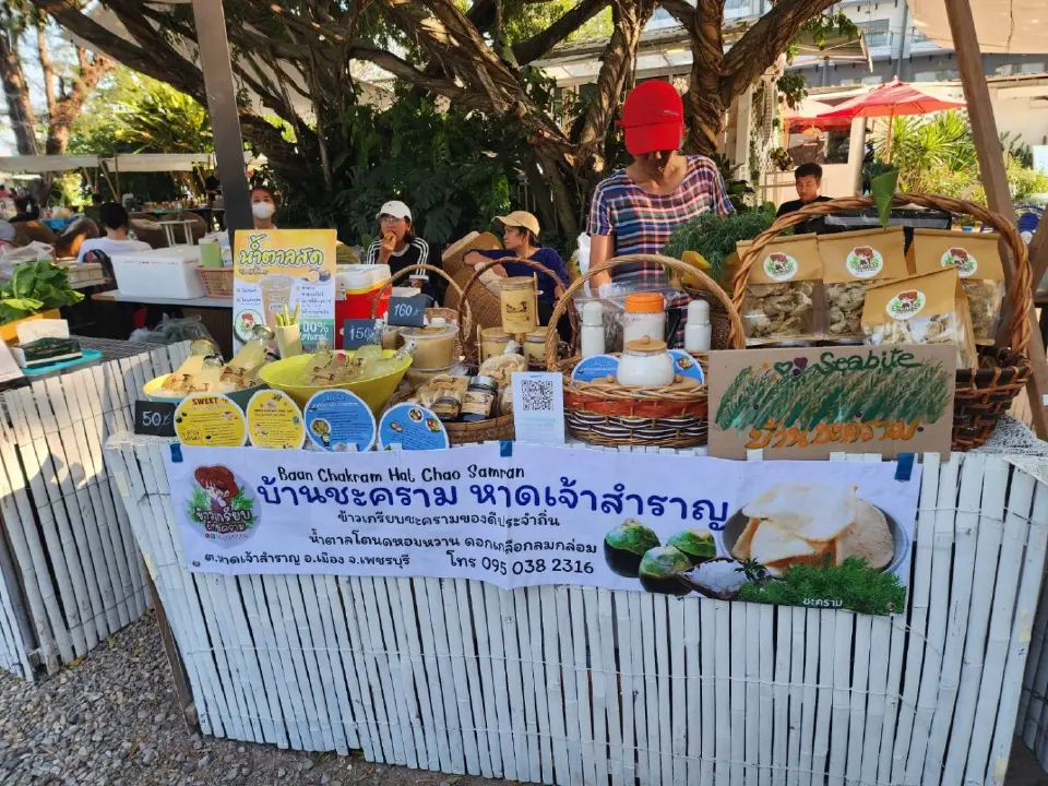 เช็คอิน สวนสนลอย คาเฟ่สีเขียวริมทะเล แลนด์มาร์คใหม่ ชะอำ หัวหิน เซ็นทารา ไลฟ์ ชะอำ