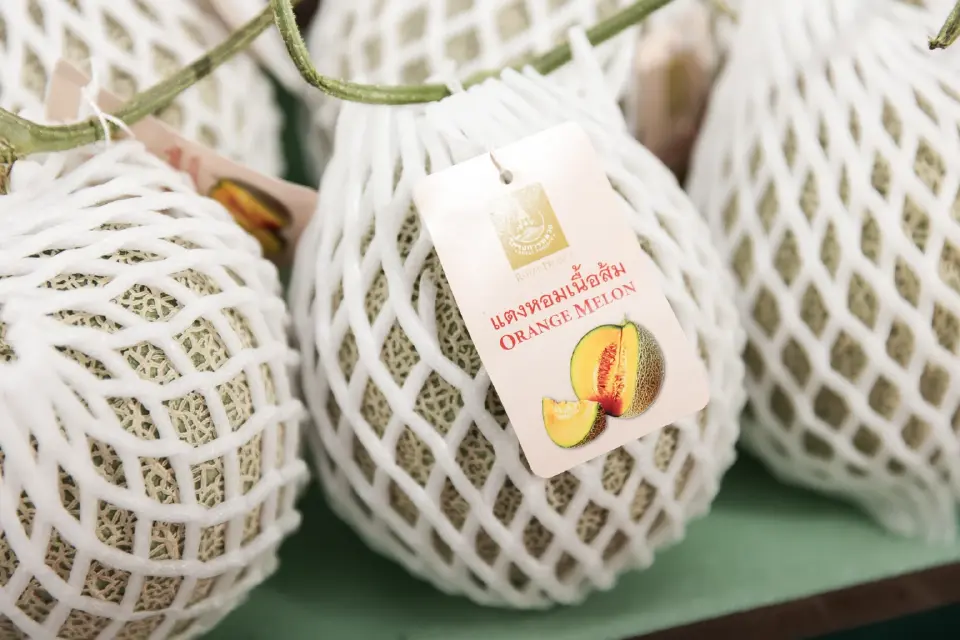 ยกดอยมาไว้ที่พารากอน! ชิมปลาเทราท์-คาเวียร์สด ในงาน Royal Project 2026