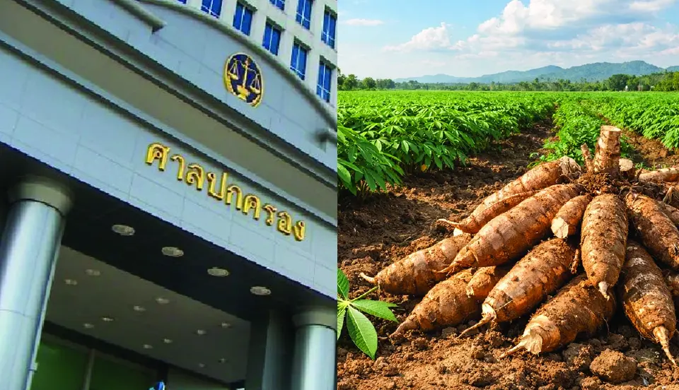 เมื่อประกาศแสดงราคามันสำปะหลังไม่ชอบ เหตุไฉนไม่ละเมิด?