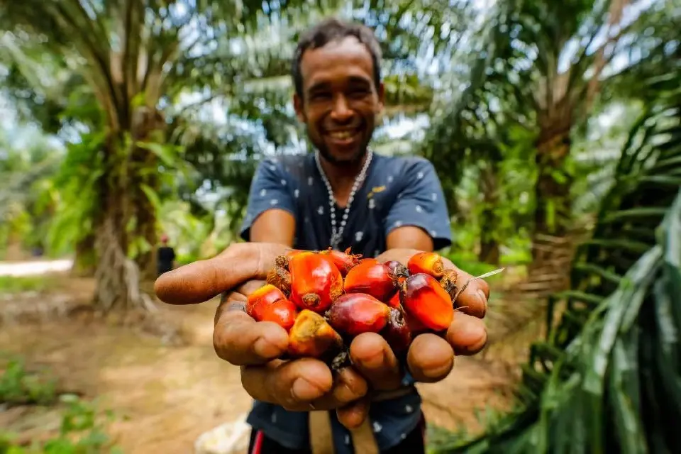 “ชุมนุมสหกรณ์ชาวสวนปาล์มน้ำมันกระบี่” คืนชีพ ปี 68 กำไรทะลุ 104 ล้านบาท