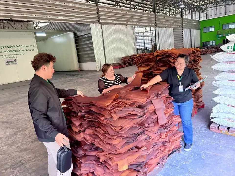 บิ๊ก กยท. ชี้สงครามตะวันออกกลางพ่นพิษ ทุบราคายางแผ่นร่วง 1.79 บาทต่อกิโลกรัม