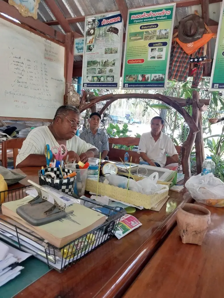 ชาวสวนประจวบฯ ลุกฮือ มะพร้าวราคาร่วง เหลือ 10 บาท จี้รัฐหยุดนำเข้า