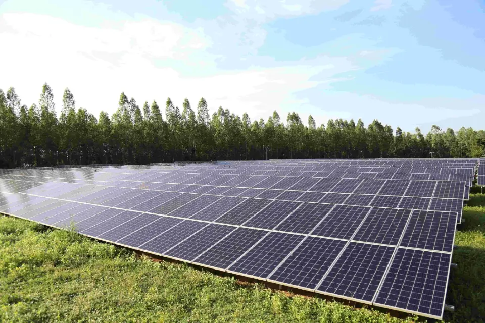 ศึกภูมิรัฐศาสตร์ดันต้นทุนพุ่ง BLC ปรับทัพเปิด “โซลาร์ฟาร์ม” รุกตลาดยา