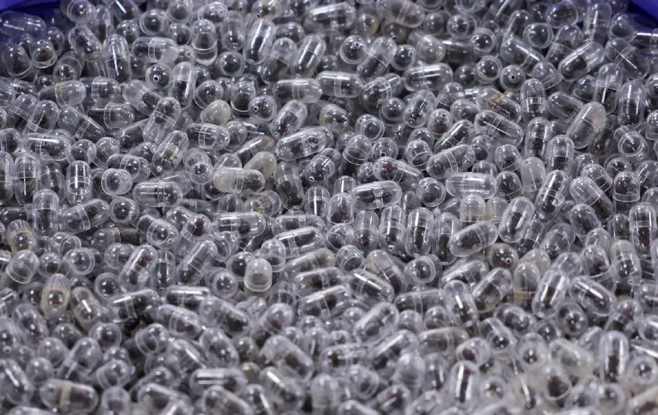 ภาพประกอบข่าวมดราชินีในแคปซูน