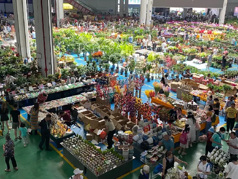 เมื่อ “เศรษฐกิจดอกไม้” เติบใหญ่และเบ่งบานในจีน (1)