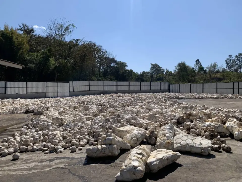 บิ๊ก กยท. ชี้สงครามตะวันออกกลางพ่นพิษ ทุบราคายางแผ่นร่วง 1.79 บาทต่อกิโลกรัม