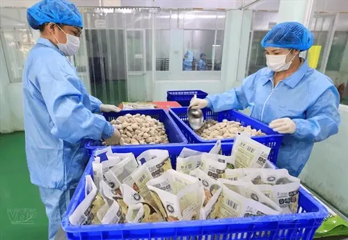 กฎ Decree 280 จีนเขย่าส่งออก เวียดนามเร่งปรับตัว สินค้าไทยเสี่ยงติดด่าน