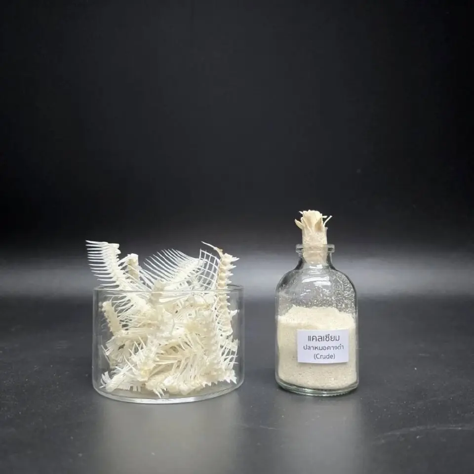 มทร.ธัญบุรีชูปลาหมอคางดำสู่นวัตกรรมแคลเซียมชีวภาพ คว้ารางวัลเวทีเยอรมนี