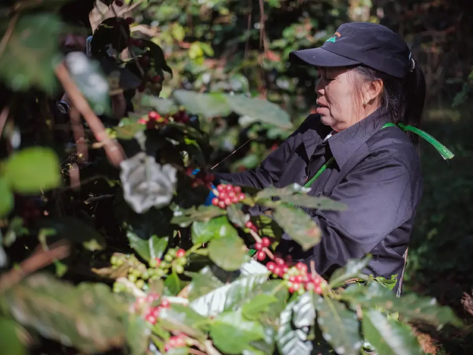 ภาพประกอบข่าว