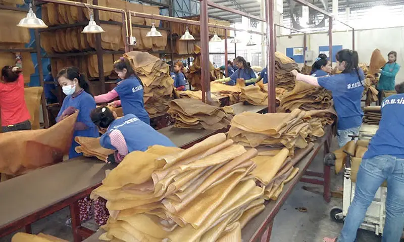 น้ำมันแพงสะเทือน! “สหกรณ์”ทั่วประเทศ ลุยดันแผนติดตั้งโซลาร์ ลดค่าใช้จ่ายสู้วิกฤต